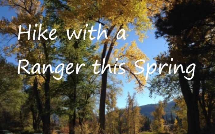 Join Washoe County Rangers Led Hikes